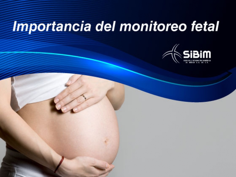 ¿Porque es importante la monitorización durante el embarazo? 